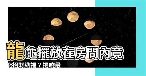 龍龜 擺 放 臥室|龍龜可以放房間嗎？ 風水專家教你擺放臥室龍龜的秘訣